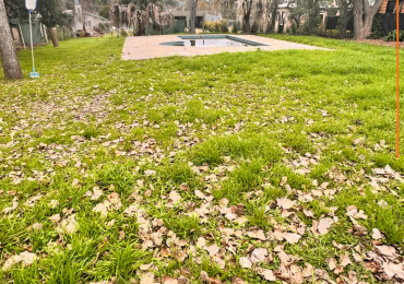 SE VENDE CASA QUINTA EN SAUCE MONTRULL 