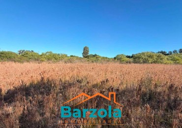 TERRENO EN VENTA ZONA PARACAO— USD 30.000